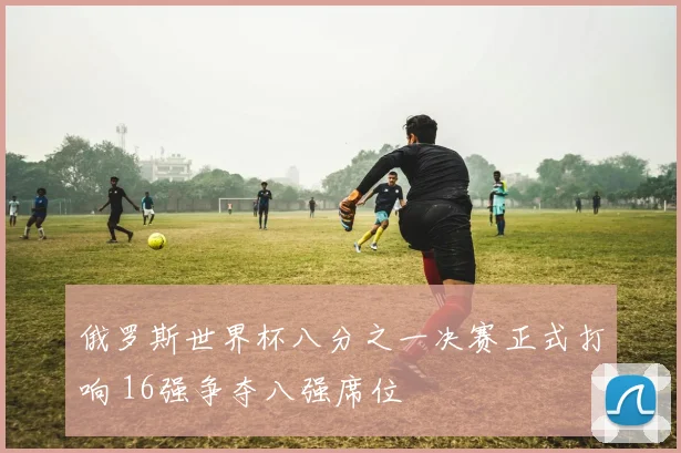 俄罗斯世界杯八分之一决赛正式打响 16强争夺八强席位
