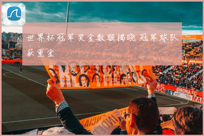 世界杯冠军奖金数额揭晓 冠军球队获重金