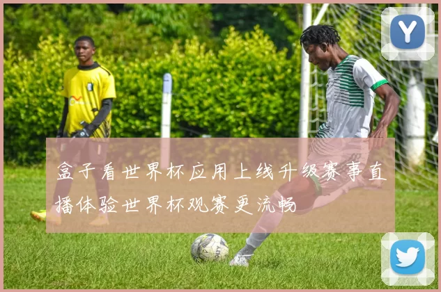 盒子看世界杯应用上线升级赛事直播体验世界杯观赛更流畅