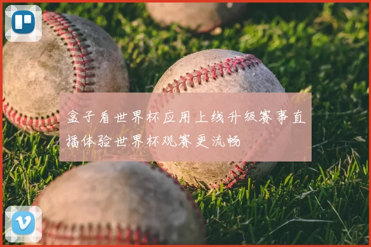 盒子看世界杯应用上线升级赛事直播体验世界杯观赛更流畅