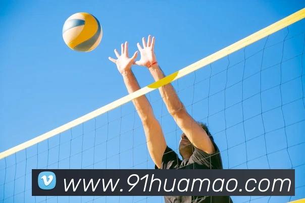 emc体育在线登录(中国)官方网站登录入口APP 封面图